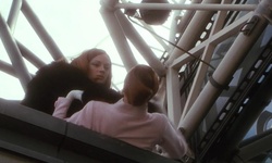 Movie image from Wonderland Weather (rooftop)