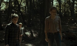 Movie image from Forest of Dean