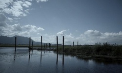 Movie image from Widgeon Slough North Dock