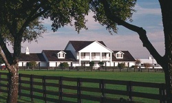 Movie image from Southfork Ranch