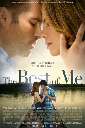 Poster The Best of Me 2014