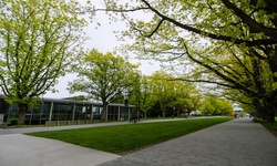 Real image from Main Mall (entre Biological Sciences et Stores) (UBC)