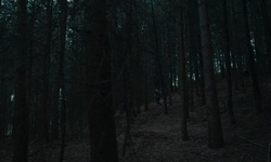 Movie image from Bosque de Lakeside