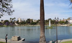 Real image from MacArthur Park