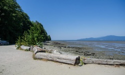 Real image from Spanish Banks Dog Beach