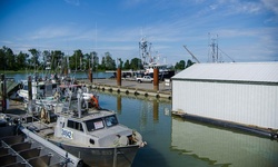 Real image from Steveston Harbour