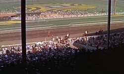 Movie image from Santa Anita Park