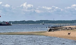 Real image from Robinson Beach