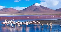 Poster Bolivia