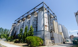 Real image from Molson-Brauerei