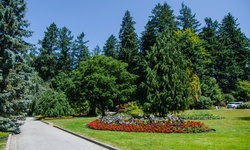 Real image from Pavilion Rose Garden  (Stanley Park)