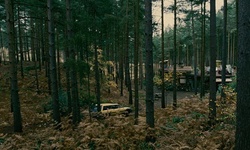 Movie image from Jasper's Cabin