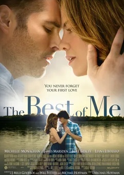 Poster The Best of Me 2014