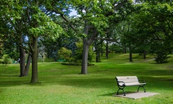 Real image from Hillside Gardens  (High Park)