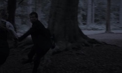 Movie image from Forest