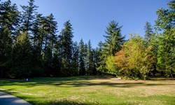 Real image from Parque Central do Burnaby