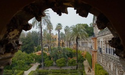 Movie image from Gardens  (Real Alcázar de Sevilla)