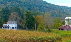 Movie image from The Farm House