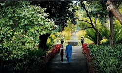 Movie image from Ботанические сады