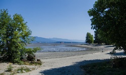 Real image from Spanish Banks Dog Beach