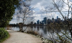 Real image from Lost Lagoon (Stanley Park)