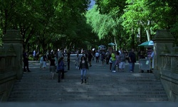 Movie image from Terraza Bethesda (Central Park)
