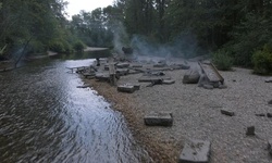 Movie image from Coquitlam River (near Wilson Avenue)