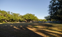 Real image from Newcomb Quad  (Tulane University)