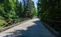 Real image from Pipeline Road Bridge  (Stanley Park)