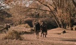 Movie image from El Rancho de las Golondrinas