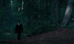 Movie image from Forbidden Forest