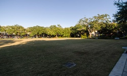 Real image from Newcomb Quad  (Tulane University)