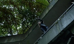 Movie image from Бывший зоопарк Ванкувера (парк Стэнли)