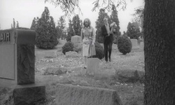 Movie image from Evans City Cemetery