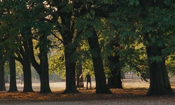 Movie image from Park