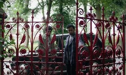 Movie image from Strawberry Fields