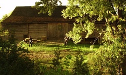 Movie image from The Dalziel  (Black Creek Pioneer Village)