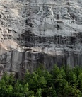 Poster Stone Mountain Park