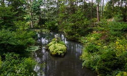 Real image from Hillside Gardens  (High Park)