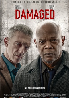 Poster Damaged 2024