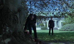 Movie image from Parkwood Estate & Gardens