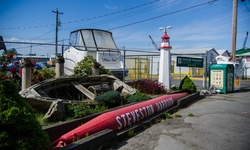 Real image from Steveston Harbour