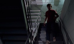 Movie image from Paradise Casino (stairs) [Alt 1985]