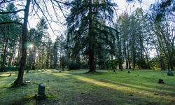 Real image from North Vancouver Cemetery