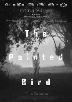 Poster El pájaro pintado 2019