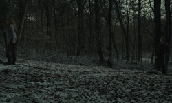 Movie image from Forest of Dean