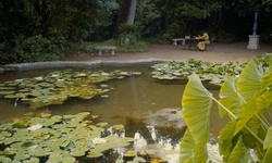 Movie image from Arboretum de Trsteno