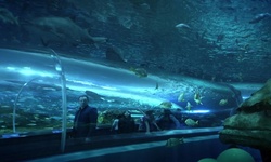 Movie image from Ripley's Aquarium of Canada