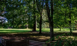 Real image from Burnaby Central Park