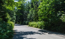 Real image from Pipeline Road (north segment)  (Stanley Park)